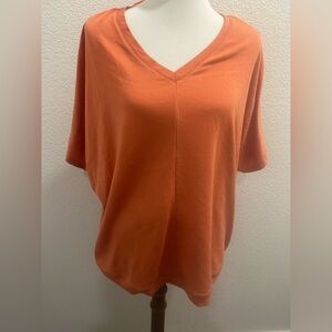 Cupio Vibrant Fall Orange Top